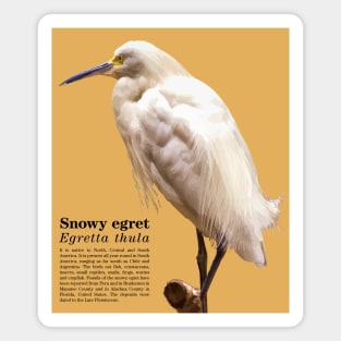 Snowy egret tropical bird black text Magnet
